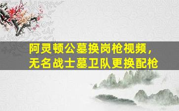 阿灵顿公墓换岗枪视频，无名战士墓卫队更换配枪