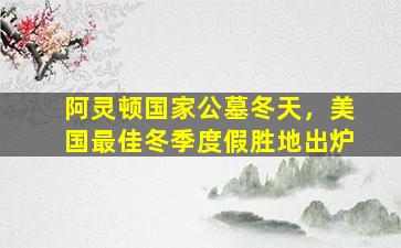 阿灵顿国家公墓冬天，美国最佳冬季度假胜地出炉