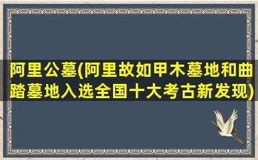 阿里公墓(阿里故如甲木墓地和曲踏墓地入选全国十大考古新发现)