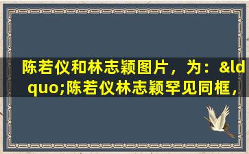 陈若仪和林志颖图片，为：“陈若仪林志颖罕见同框，网友：终于见到了他们”