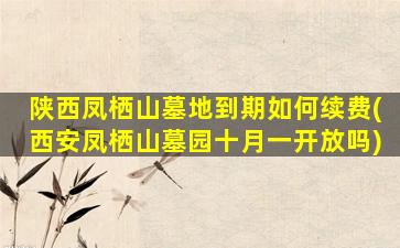 陕西凤栖山墓地到期如何续费(西安凤栖山墓园十月一开放吗)