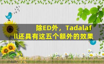 除ED外，Tadalafil还具有这五个额外的效果