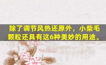 除了调节风热还原外，小柴毛颗粒还具有这6种美妙的用途。