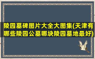 陵园墓碑图片大全大图集(天津有哪些陵园公墓哪块陵园墓地最好)