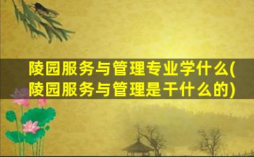 陵园服务与管理专业学什么(陵园服务与管理是干什么的)
