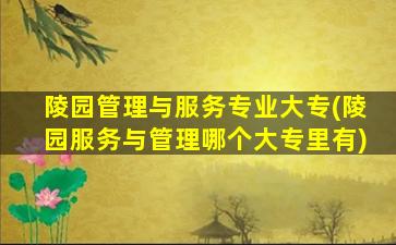 陵园管理与服务专业大专(陵园服务与管理哪个大专里有)