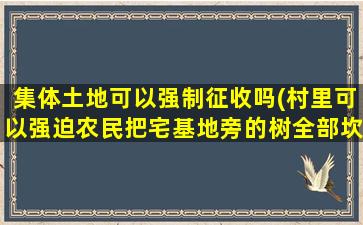 集体土地可以强制征收吗(村里可以强迫农民把宅基地旁的树全部坎掉吗)