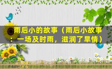 雨后小的故事（雨后小故事：一场及时雨，滋润了旱情）