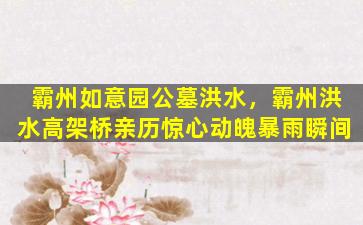 霸州如意园公墓洪水，霸州洪水高架桥亲历惊心动魄暴雨瞬间