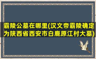 霸陵公墓在哪里(汉文帝霸陵确定为陕西省西安市白鹿原江村大墓)