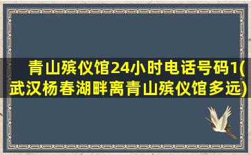 青山殡仪馆24小时电话号码1(武汉杨春湖畔离青山殡仪馆多远)