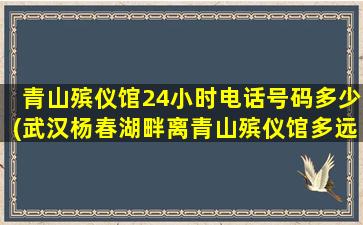 青山殡仪馆24小时电话号码多少(武汉杨春湖畔离青山殡仪馆多远)