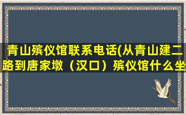 青山殡仪馆联系电话(从青山建二路到唐家墩（汉口）殡仪馆什么坐车)