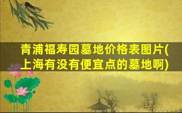 青浦福寿园墓地价格表图片(上海有没有便宜点的墓地啊)