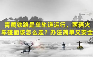 青藏铁路是单轨道运行，两辆火车碰面该怎么走？办法简单又安全