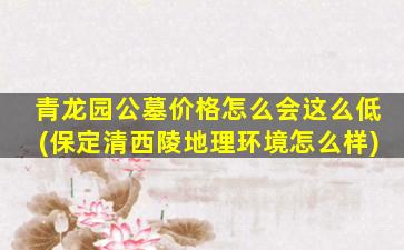青龙园公墓价格怎么会这么低(保定清西陵地理环境怎么样)