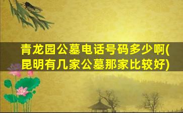 青龙园公墓电话号码多少啊(昆明有几家公墓那家比较好)
