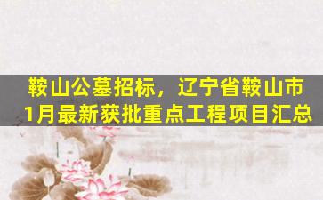 鞍山公墓招标，辽宁省鞍山市1月最新获批重点工程项目汇总