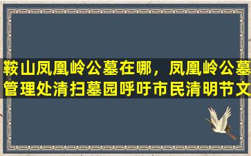 鞍山凤凰岭公墓在哪，凤凰岭公墓管理处清扫墓园呼吁市民清明节文明祭扫