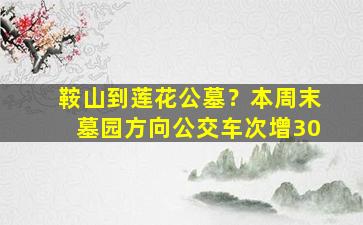 鞍山到莲花公墓？本周末墓园方向公交车次增30