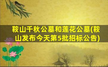 鞍山千秋公墓和莲花公墓(鞍山发布今天第5批招标公告)