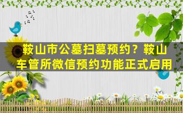 鞍山市公墓扫墓预约？鞍山车管所微信预约功能正式启用