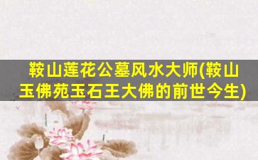 鞍山莲花公墓风水大师(鞍山玉佛苑玉石王大佛的前世今生)
