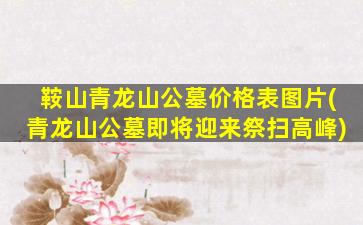 鞍山青龙山公墓价格表图片(青龙山公墓即将迎来祭扫高峰)