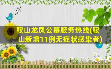 鞍山龙凤公墓服务热线(鞍山新增11例无症状感染者)