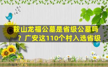 鞍山龙福公墓是省级公墓吗？广安这110个村入选省级