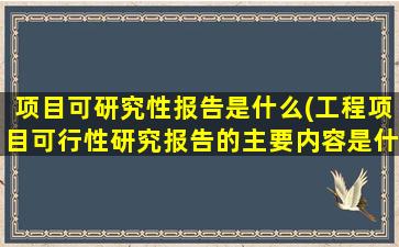 项目可研究性报告是什么(工程项目可行性研究报告的主要内容是什么)