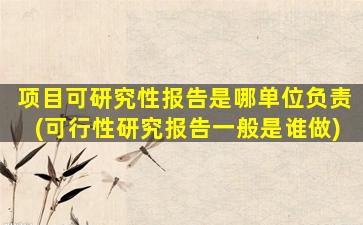 项目可研究性报告是哪单位负责(可行性研究报告一般是谁做)