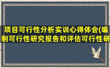 项目可行性分析实训心得体会(编制可行性研究报告和评估可行性研究报告有什么不一样)