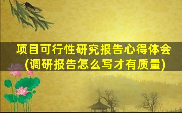 项目可行性研究报告心得体会(调研报告怎么写才有质量)