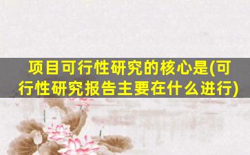 项目可行性研究的核心是(可行性研究报告主要在什么进行)