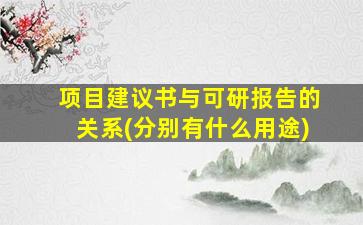 项目建议书与可研报告的关系(分别有什么用途)