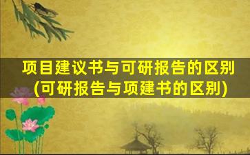 项目建议书与可研报告的区别(可研报告与项建书的区别)