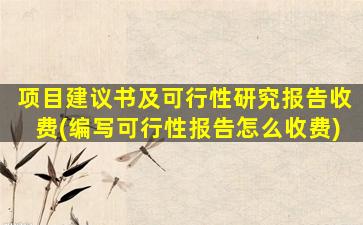 项目建议书及可行性研究报告收费(编写可行性报告怎么收费)