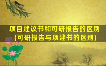 项目建议书和可研报告的区别(可研报告与项建书的区别)