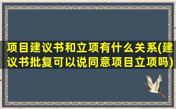 项目建议书和立项有什么关系(建议书批复可以说同意项目立项吗)