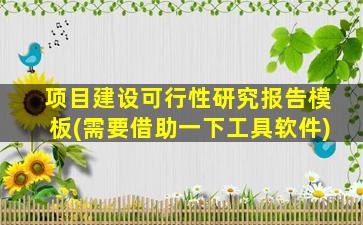 项目建设可行性研究报告模板(需要借助一下工具软件)