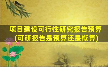 项目建设可行性研究报告预算(可研报告是预算还是概算)