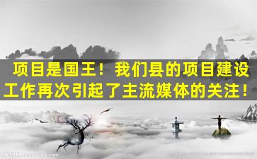 项目是国王！我们县的项目建设工作再次引起了主流媒体的关注！