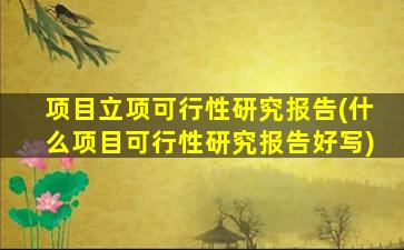 项目立项可行性研究报告(什么项目可行性研究报告好写)