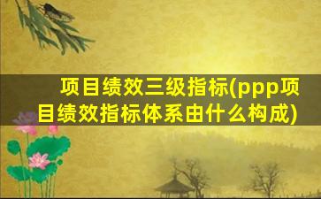项目绩效三级指标(ppp项目绩效指标体系由什么构成)