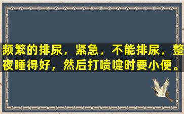 频繁的排尿，紧急，不能排尿，整夜睡得好，然后打喷嚏时要小便。三种药物会帮助您