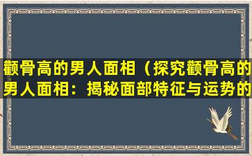 颧骨高的男人面相（探究颧骨高的男人面相：揭秘面部特征与运势的关系）