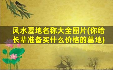 风水墓地名称大全图片(你给长辈准备买什么价格的墓地)