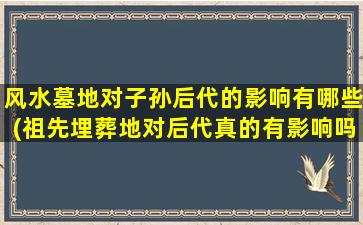 风水墓地对子孙后代的影响有哪些(祖先埋葬地对后代真的有影响吗)