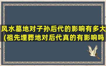 风水墓地对子孙后代的影响有多大(祖先埋葬地对后代真的有影响吗)